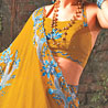Lazer Saree