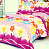 Egyptian Cotton Bedsheet Set With 2 Pillow Covers