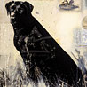 Best of Breed by Calkins